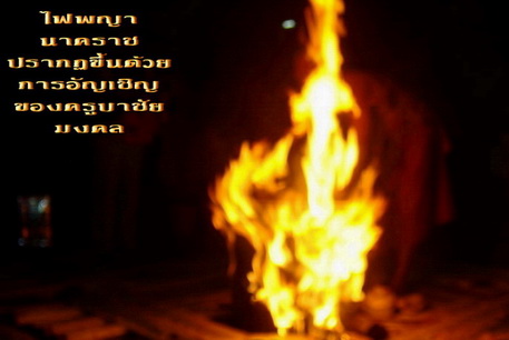 Ըա ѡԷ ѧ ѧǷ